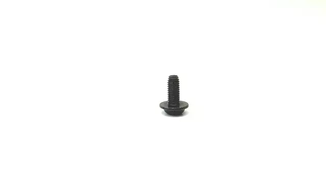 Map Lamp Assembly Screw