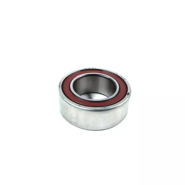 Output Shaft Bearing
