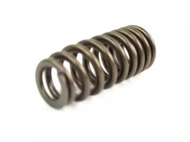 Valve Spring