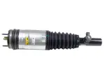 Air Suspension Spring And Shock Assembly, Left
