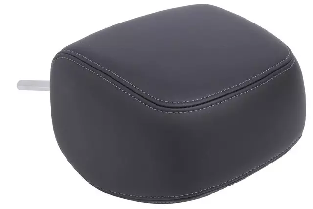Jet Black Front Head Restraint