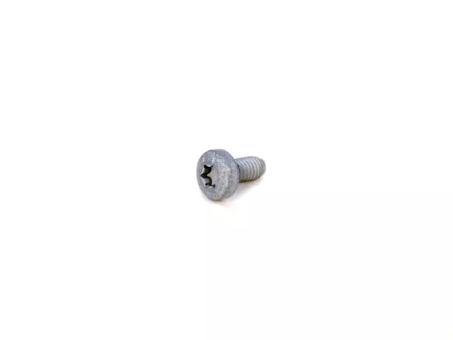Windshield Pillar Trim Screw