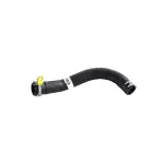 Radiator Inlet Hose And Clamp