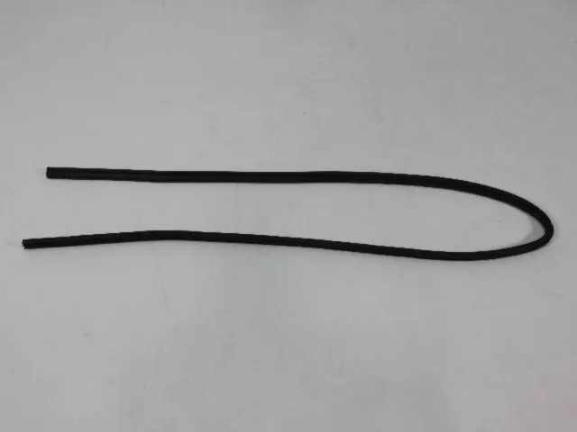 Door Opening Weatherstrip, Right & Left, Rear