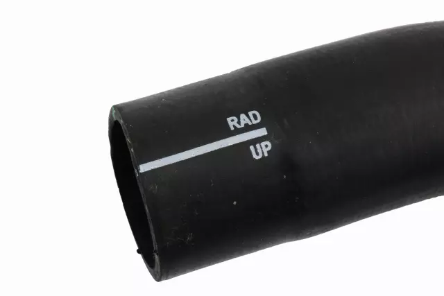 19330105 - Radiator Inlet Hose 2006-2010 GM | Big 3 Auto Parts