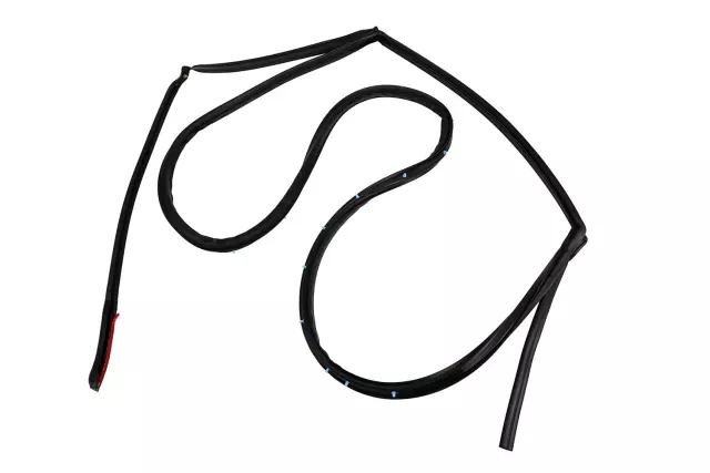 Passenger Side Rear Door Weatherstrip