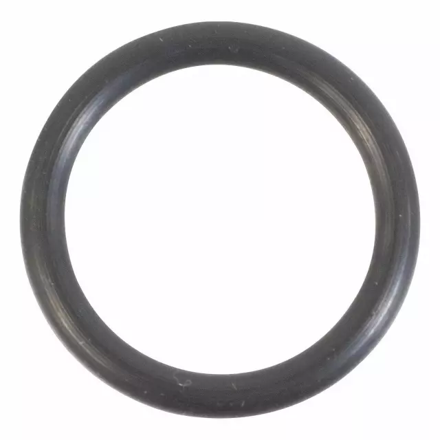 Engine Oil Filter Adapter Seal - Ford (XW4Z-6K649-AA)