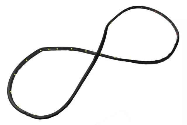 Driver Side Front Door Weatherstrip