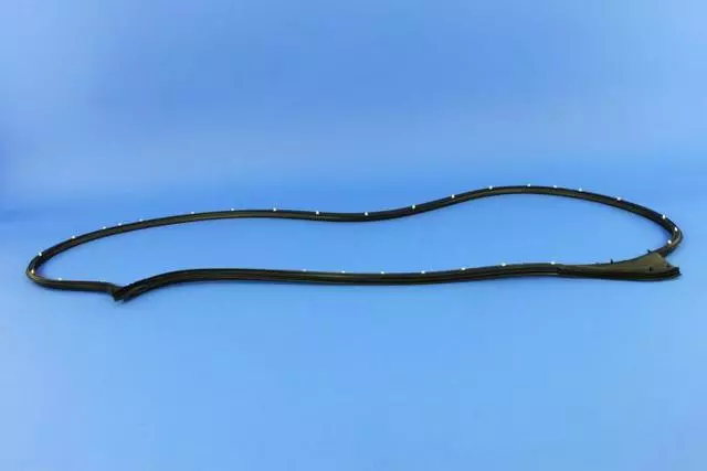 Front Door Opening Weatherstrip, Left