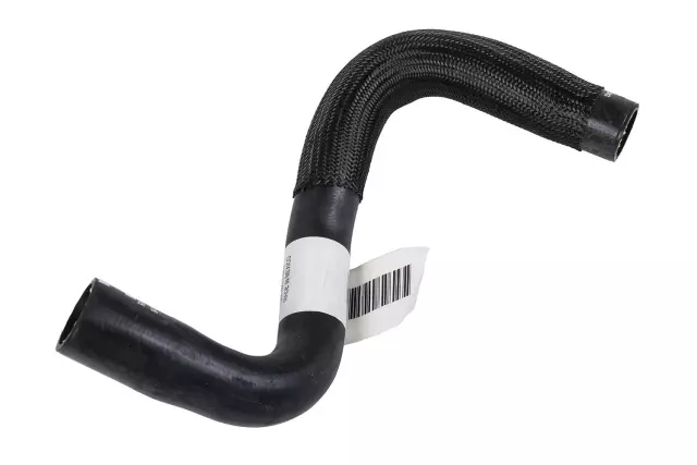 Radiator Outlet Hose