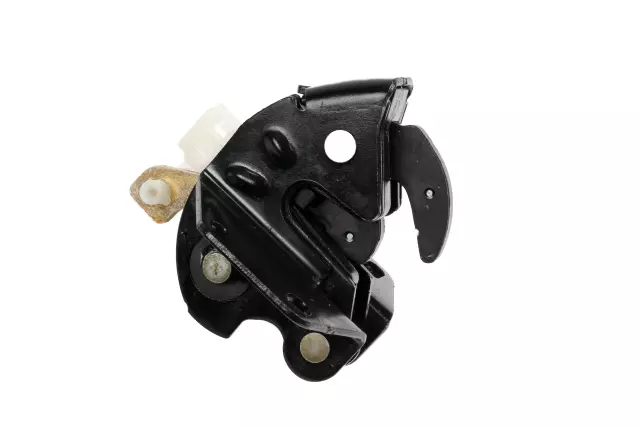 Rear Side Door Lower Latch