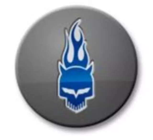 Wheel Center Cap, Gray, Jake Graphic