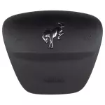 Driver Inflator Module