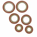 2017-2024 Ford - A/C Line O-Ring