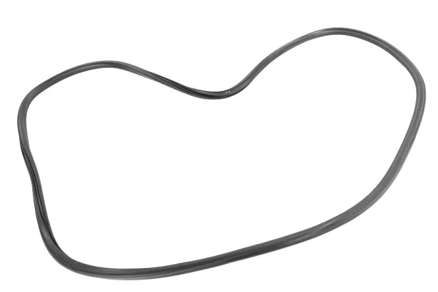 Weather-Strip On Body