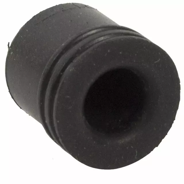 Caliper Bleeder Screw