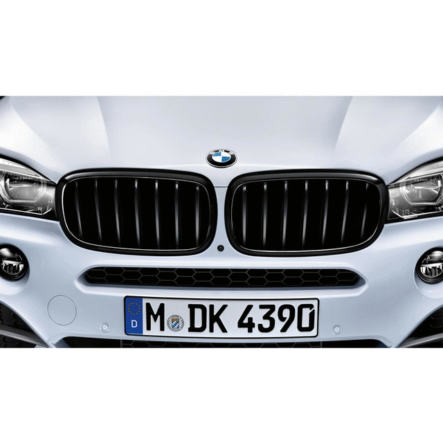 2017-2019 BMW - M Performance Black Kidney Grille - Left