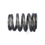 Valve Springs