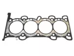 Head Gasket
