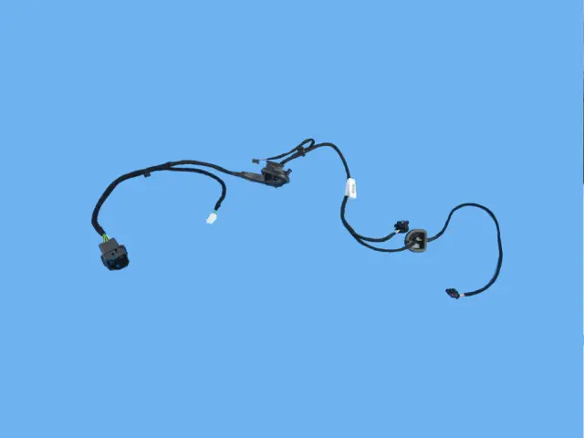 Rear Door Wiring, Left