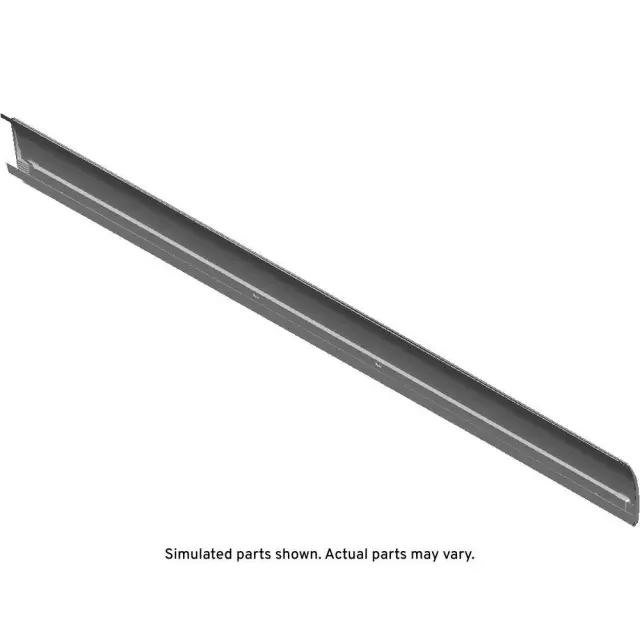 Black Front Passenger Side Door Molding