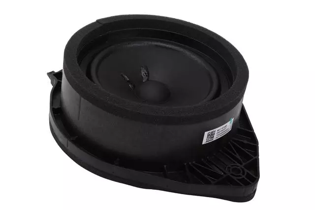 Rear Side Door Speaker