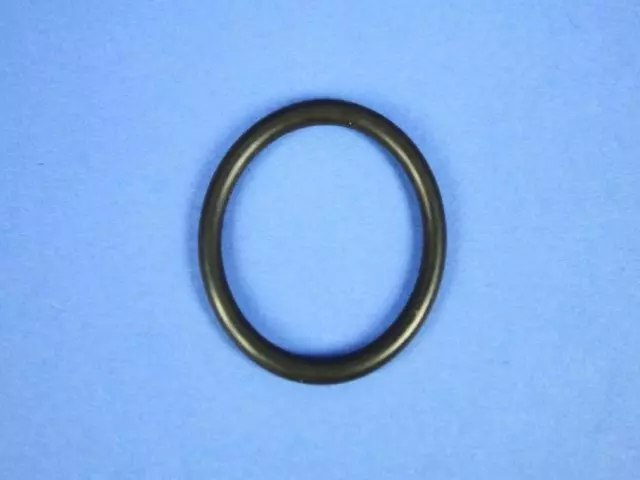 Oil Pick Up Tube O Ring
