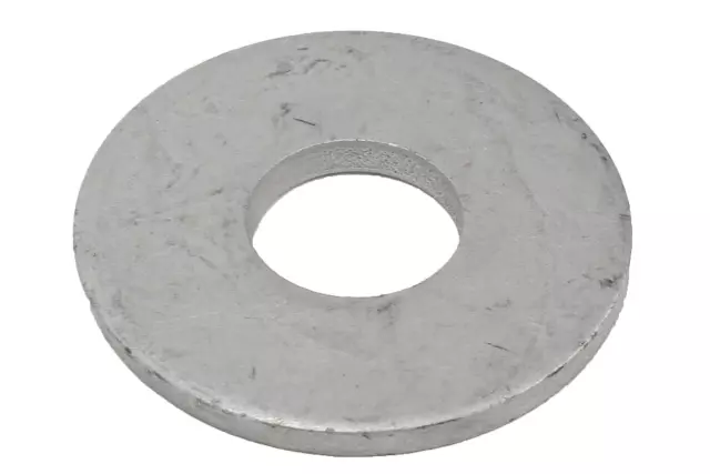 Multi-Purpose Washer