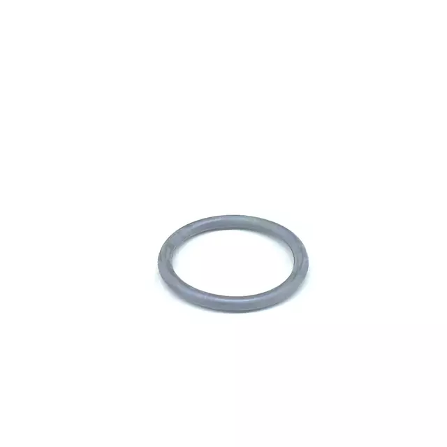 1993-1995 Volkswagen EuroVan - Engine Coolant Outlet Gasket
