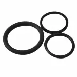 2003-2010 Ford Fuel Injection Pressure Regulator O-Ring