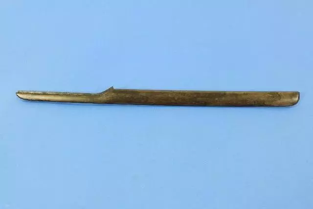 Door Panel Applique, Left