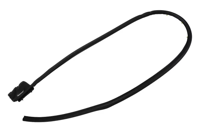 Front Driver Side Door Weatherstrip