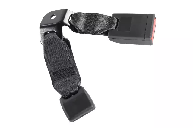 Black Rear Passenger Side Seat Belt Buckle