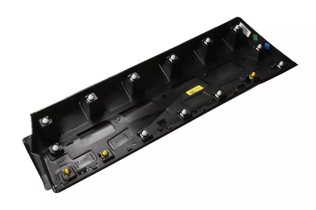 Black Driver Side Door Molding