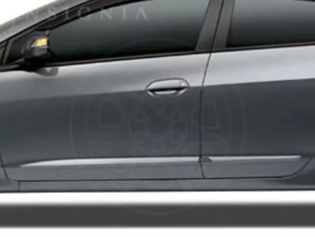 Body Side Molding - Polished Metal Metallic