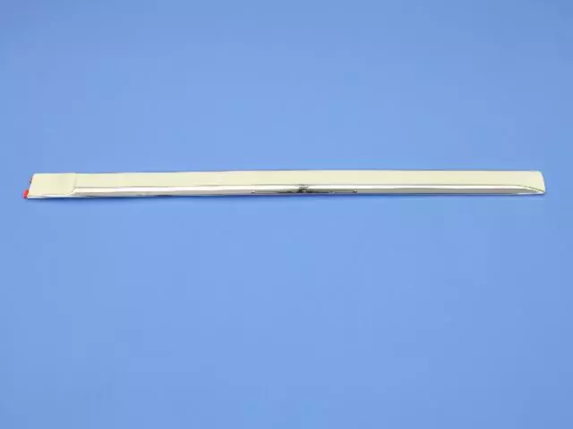 Rear Door Molding, Left