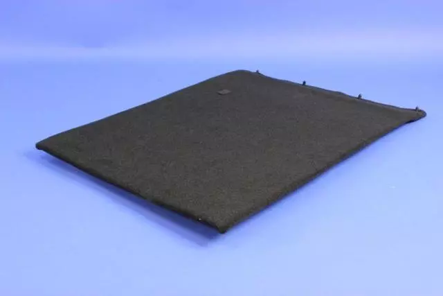 Seat Back Panel, Right