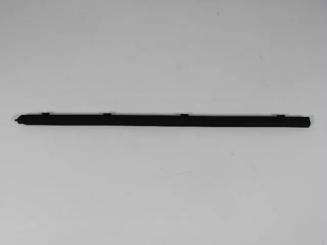 Door Belt Weatherstrip, Left