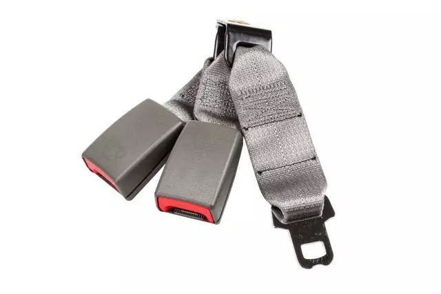 Medium Dark Pewter II Rear Seat Belt with Buckle