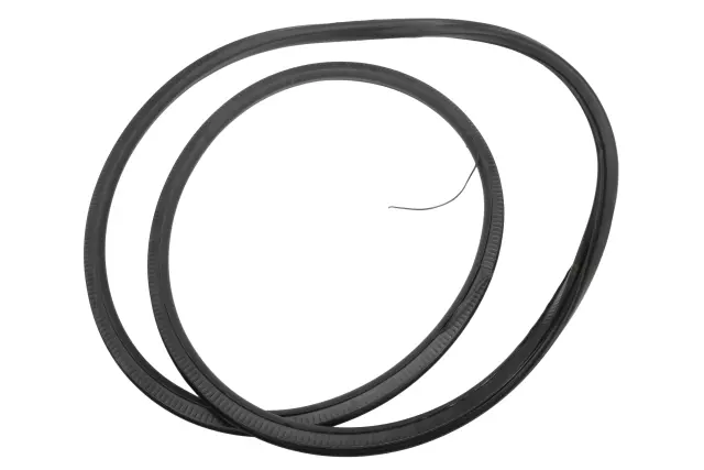 Passenger Side Door Weatherstrip