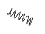 Front Coil Spring, Right