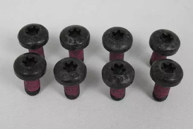 Pan Head Locking Screw