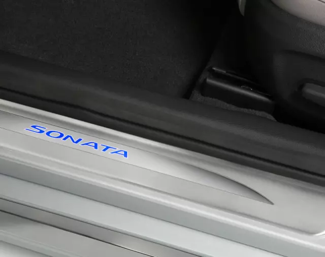 Scuff Plate - Door - Illuminated