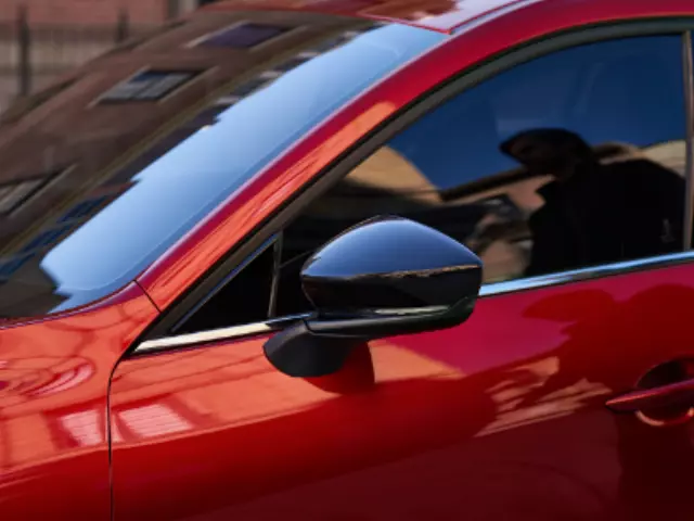 Door Mirror Cap - Right