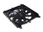 Radiator Cooling Fan Module