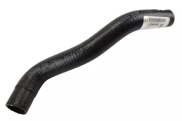 Radiator Outlet Hose
