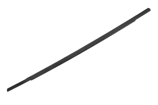 Front Driver Side Door Window Belt Reveal Molding