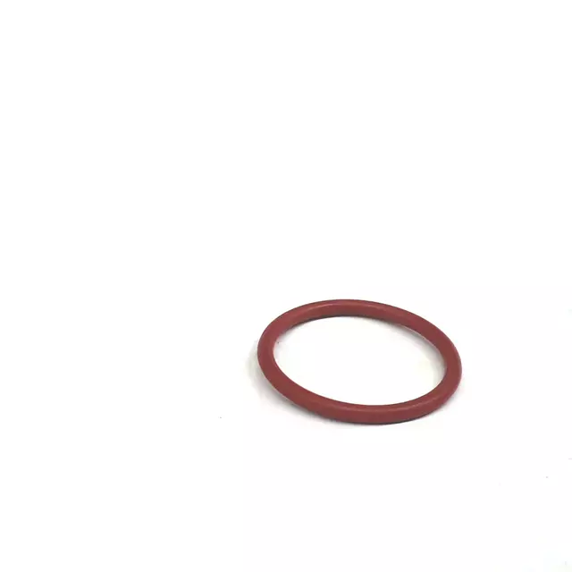 Union O-Ring