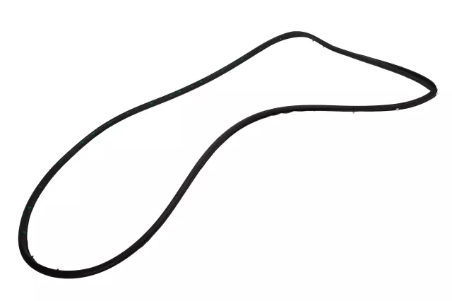 Rear Driver Side Door Weatherstrip