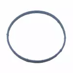 Fuel Injection Throttle Body Mounting Gasket